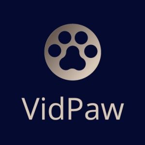 Descargar videos de Youtube en tu navegador con VidPaw